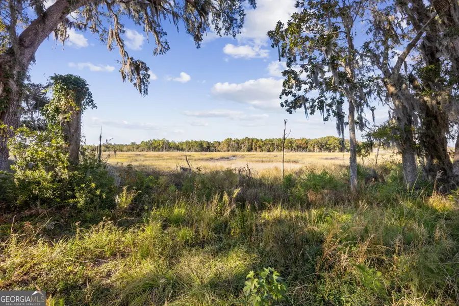 183 Rainbow Lane, Woodbine, GA 31569 - Image #3