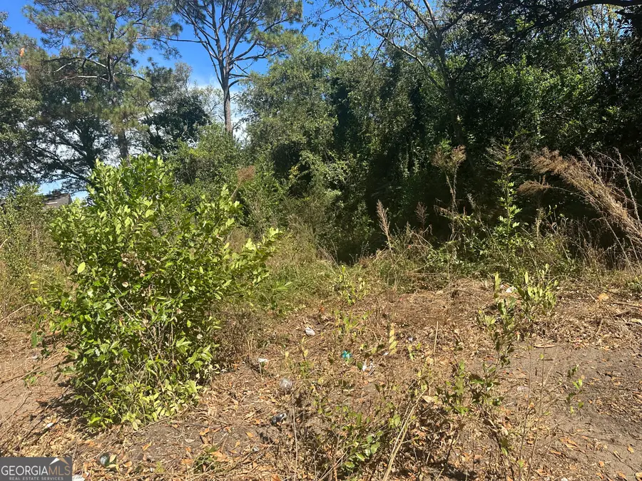 358 Pittman Street, Macon, GA 31206 - #3