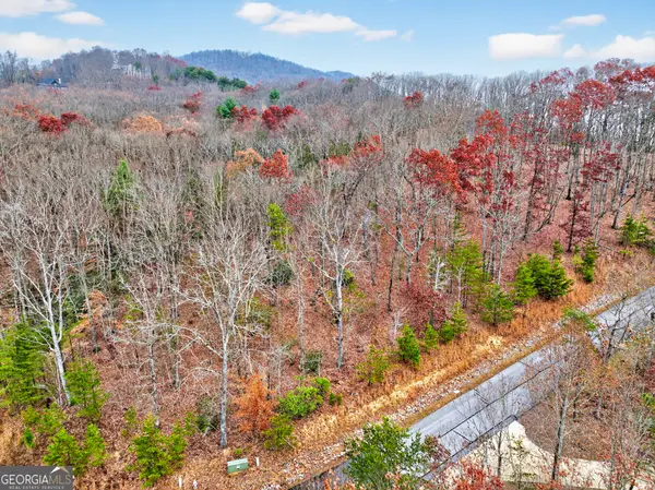 #185 Northshore Drive, Cleveland, GA 30528