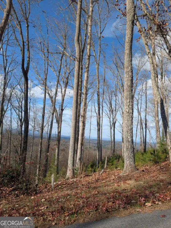 LOT 91 Winding Ridge, Blairsville, GA 30512