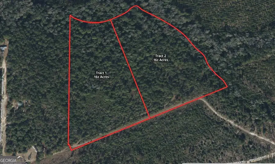 0 Sandpiper Lane #TRACT 1, Swainsboro, GA 30401 - Image #2