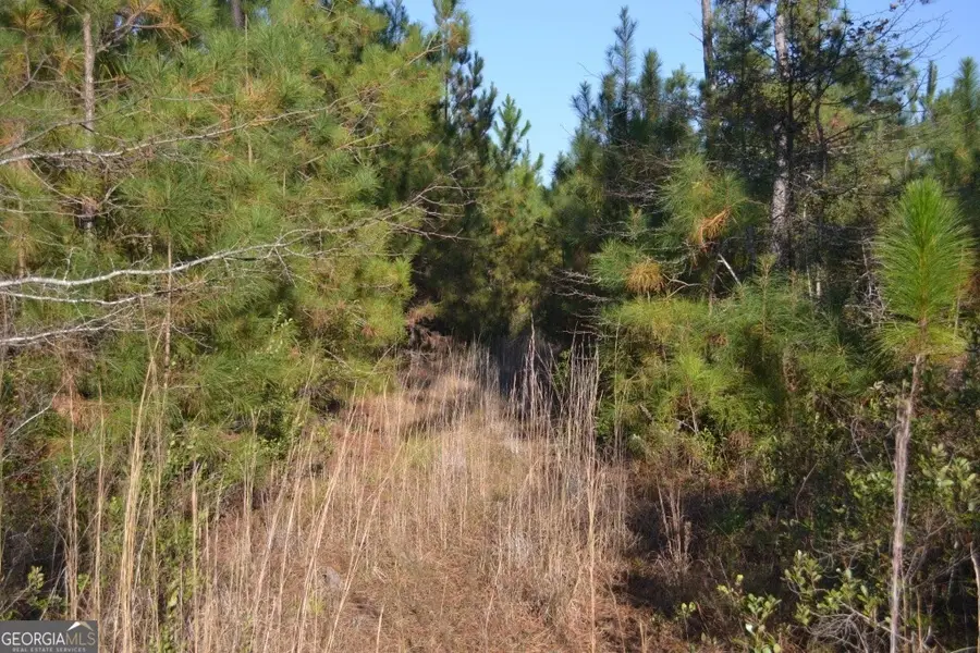 0 Sandpiper Lane #TRACT 1, Swainsboro, GA 30401 - Image #3