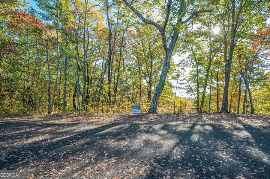 LOT 19 Oceola Drive, Ellijay, GA 30540 - #2