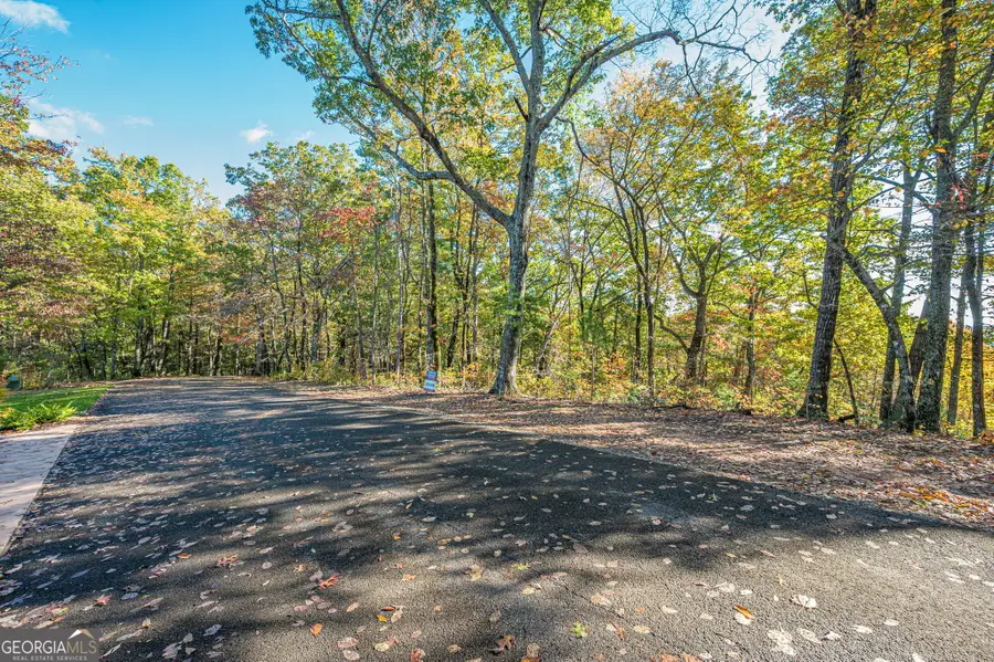 LOT 19 Oceola Drive, Ellijay, GA 30540 - #3
