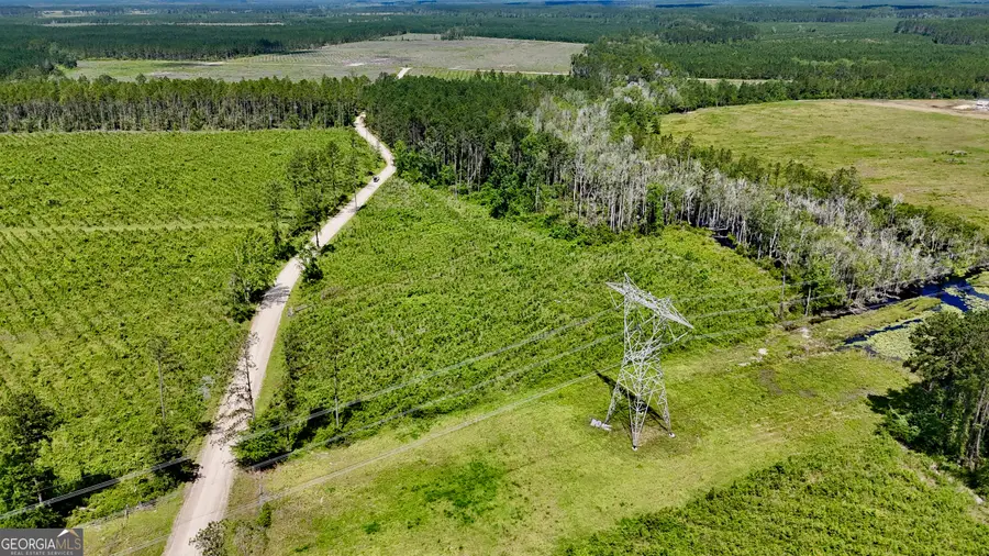 TRACT 1 Bennett Mill Pond Road, Odum, GA 31555 - Image #3