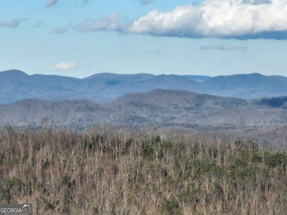 281 Andes Ridge, Ellijay, GA 30536 - #1