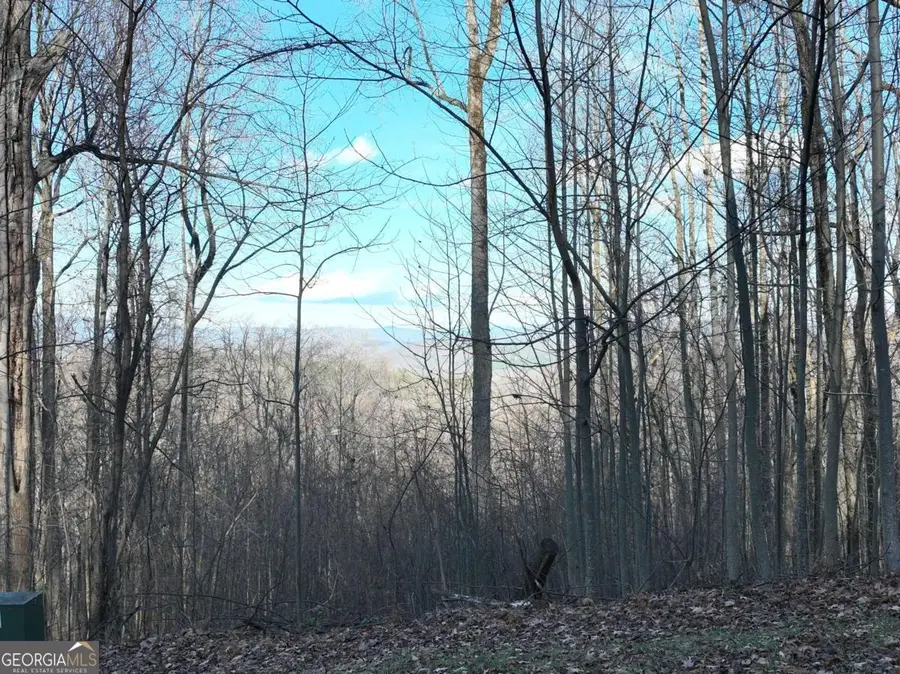 281 Andes Ridge, Ellijay, GA 30536 - #2
