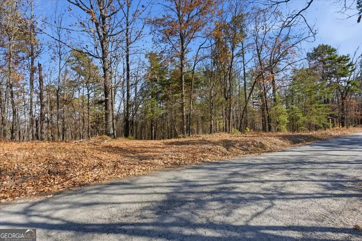 1166 Hunter Drive, Ranger, GA 30734 - Image #1