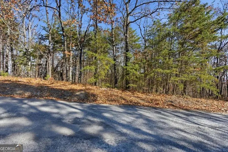 1166 Hunter Drive, Ranger, GA 30734 - Image #2