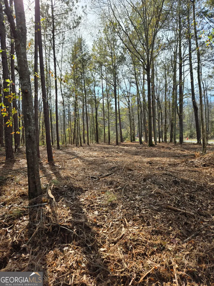 0 Yatesville Road, Barnesville, GA 30204 - Image #3