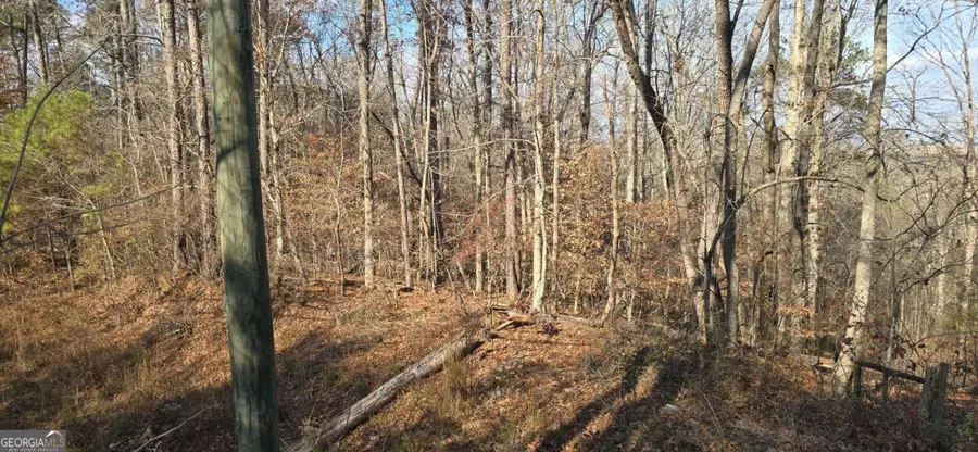 00001 Matt Highway, Ball Ground, GA 30107 - Image #2