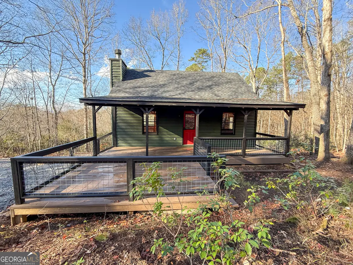 441 Skyview Circle, Clarkesville, GA 30523 - #1