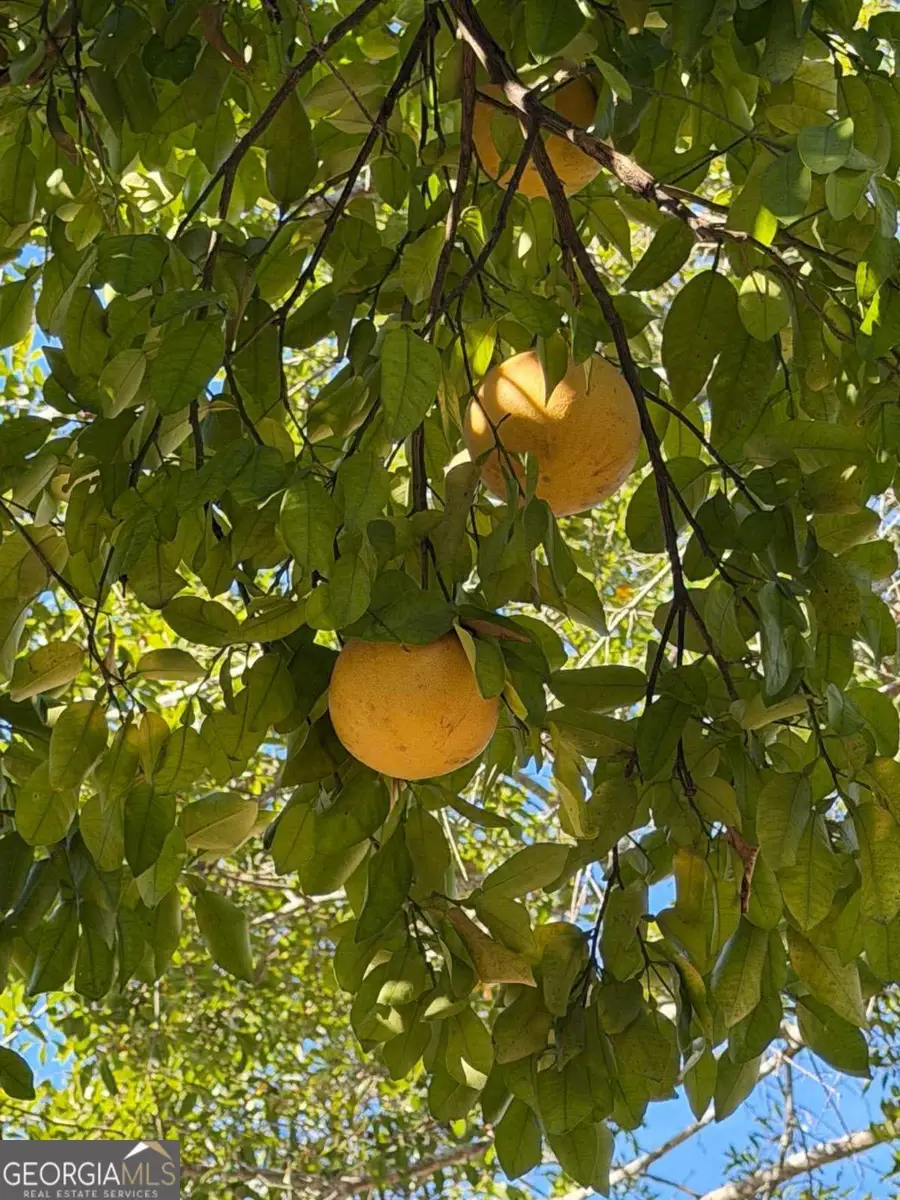 1208 Margaret, Waycross, GA 31503 - Image #2