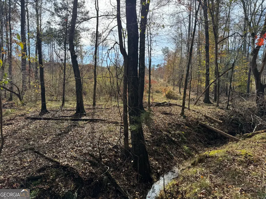 0 Old Middleton Road, Elberton, GA 30635 - Image #2