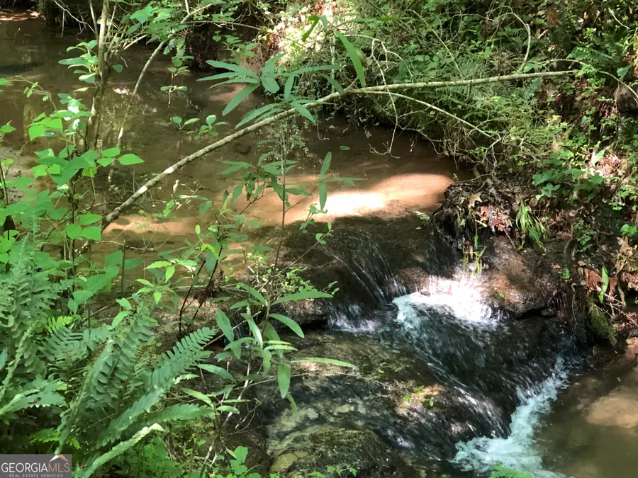 0 E Deer Run Trail, Lavonia, GA 30553 - Image #3