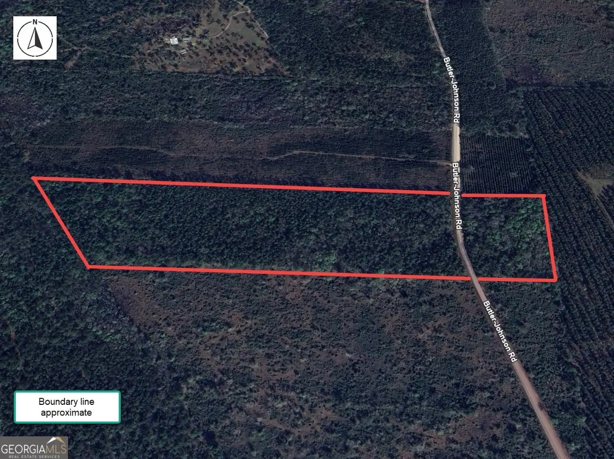 0 Butler Johnson Road, White Oak, GA 31568 - Image #1