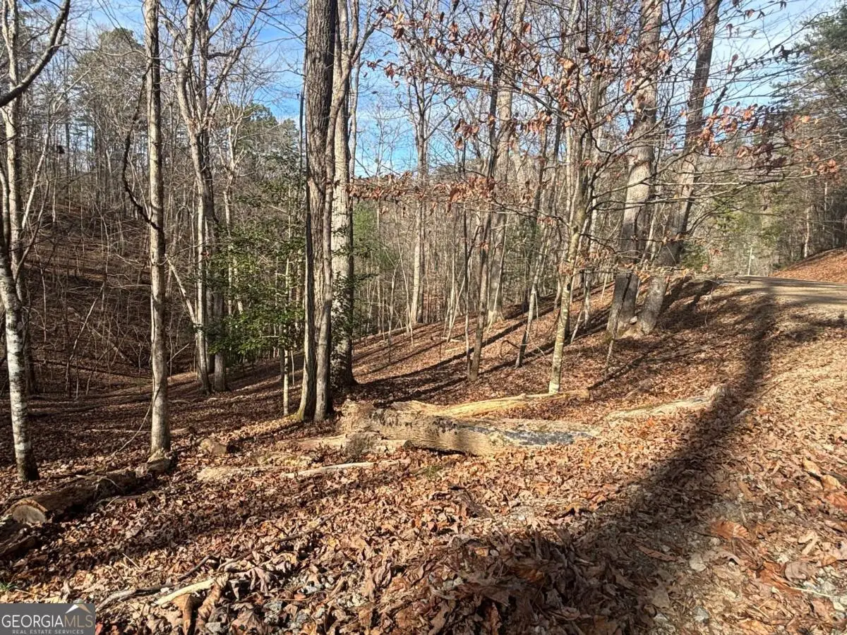 LT 727 Armor Court, Ellijay, GA 30540 - Image #1