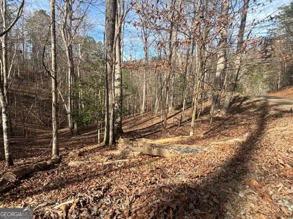 LT 727 Armor Court, Ellijay, GA 30540