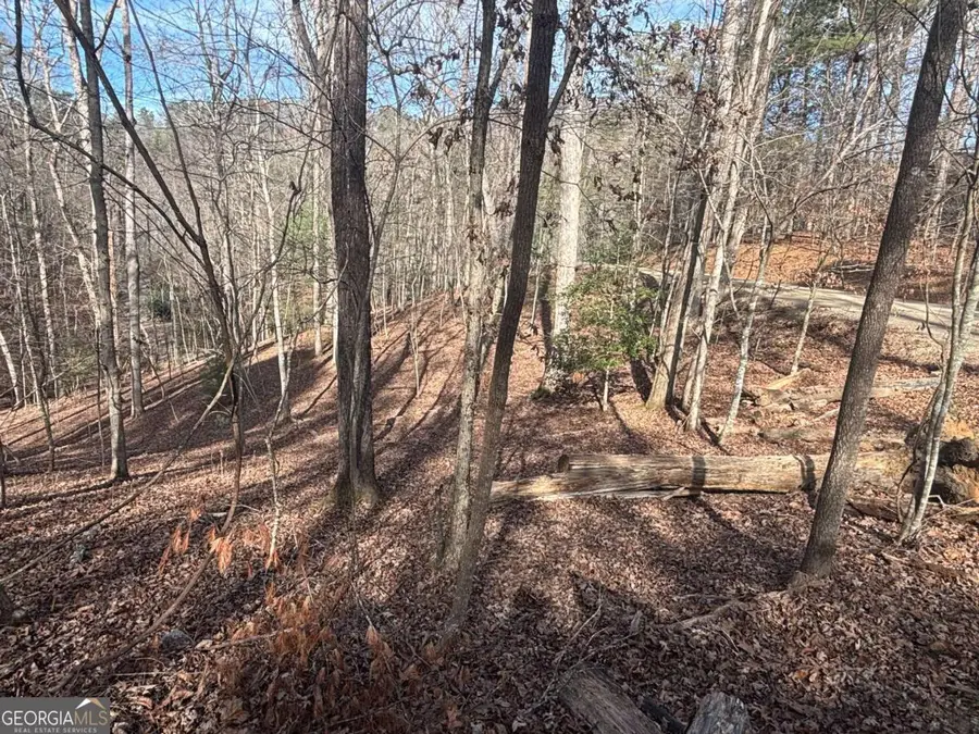LT 727 Armor Court, Ellijay, GA 30540 - Image #2
