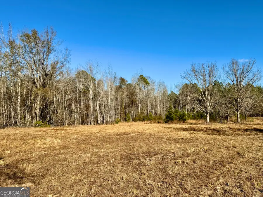 0 Eugene Ward Road, Adrian, GA 31002 - Image #2