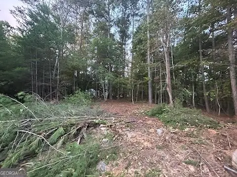 21 Skyline Drive, Braswell, GA 30153 - Image #3