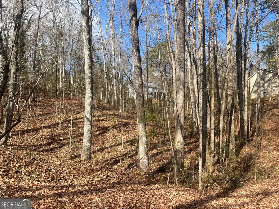 0 Tomahawk Terrace, Gainesville, GA 30506 - Image #3