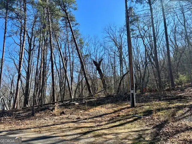 125 Gum Wood Court, Waleska, GA 30183 - Image #2