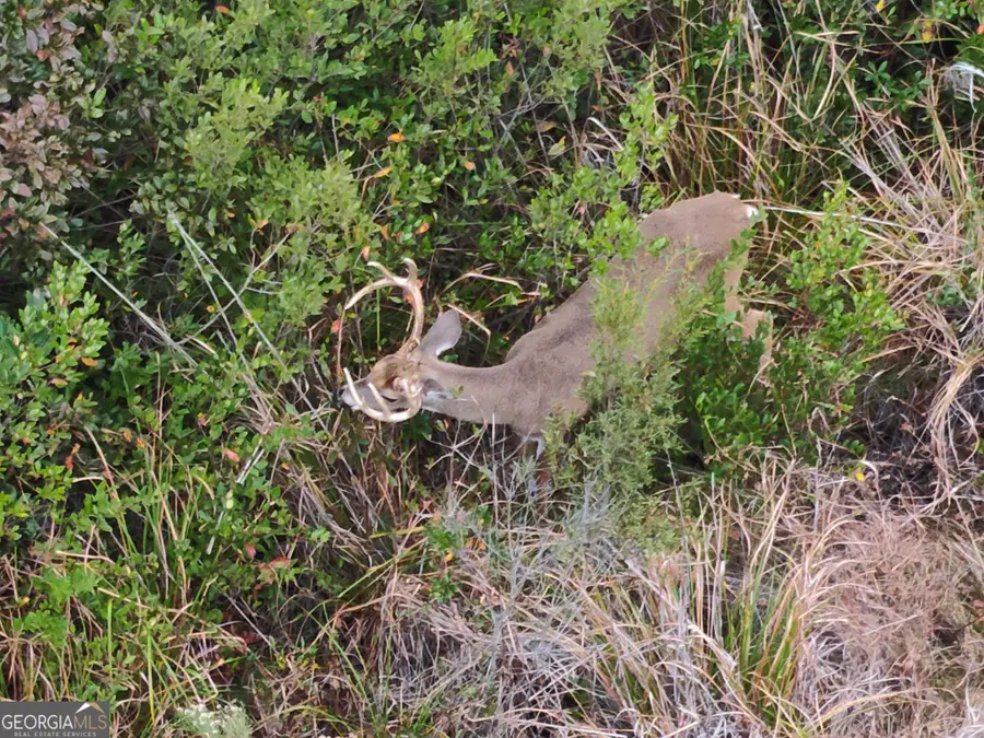 5321 Irma Lee Lane, Tarrytown, GA 30470 - Image #2