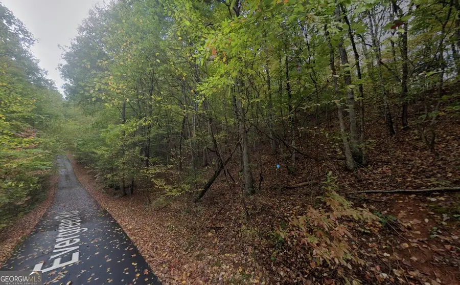 300 Evergreen Road, Hiawassee, GA 30546 - Image #2