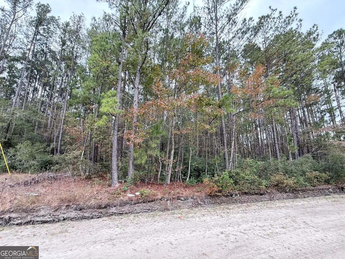 0 Raymona 10acres Road, Brooklet, GA 30415 - Image #1