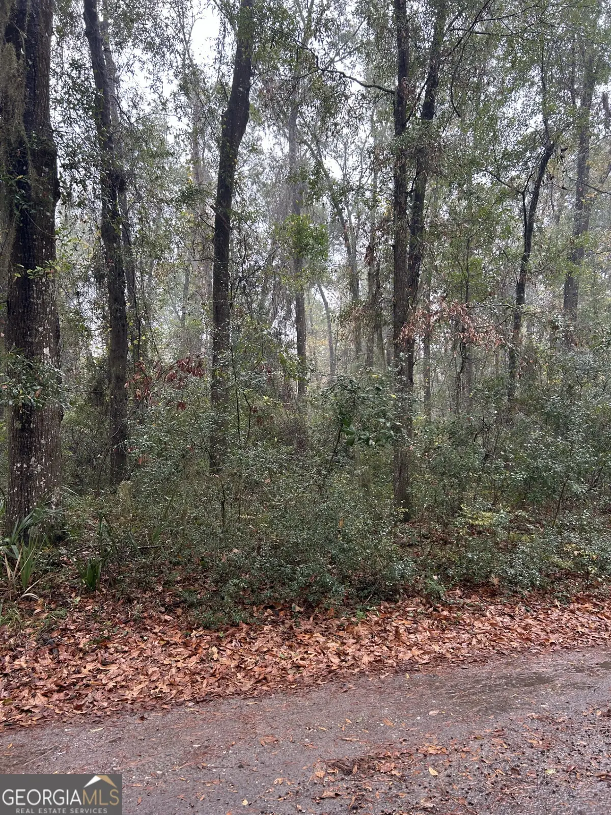LOT 15 Harmony Hill Lane, Townsend, GA 31331 - Image #1
