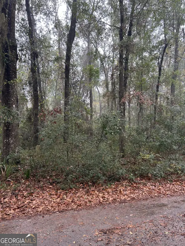 LOT 15 Harmony Hill Lane, Townsend, GA 31331