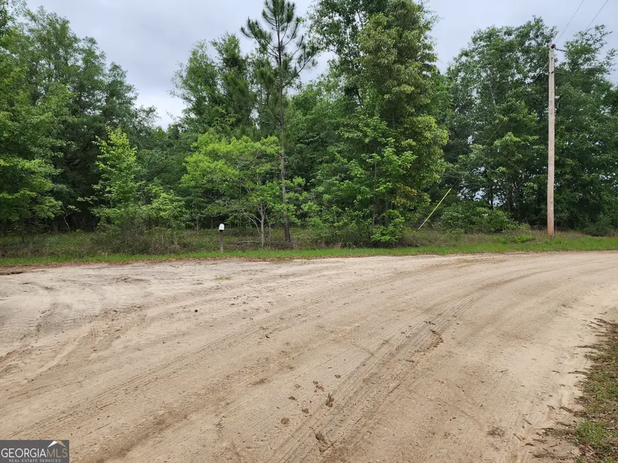 0 Southwest Drive, Donalsonville, GA 39845 - Image #3