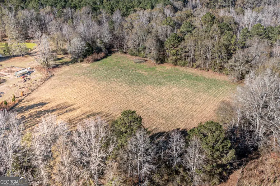 0 W Mcintosh Road, Brooks, GA 30205 - Image #2