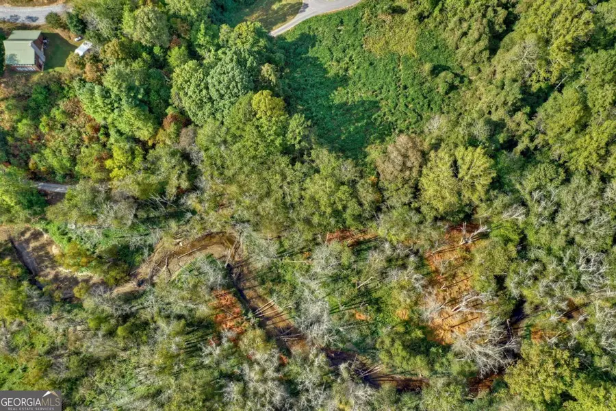 6.4 ACRE Collins Road, Morganton, GA 30560 - Image #2