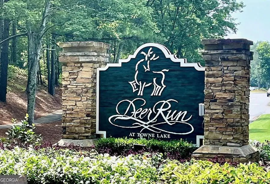 4075 Dream Catcher Drive, Woodstock, GA 30189 - Image #2