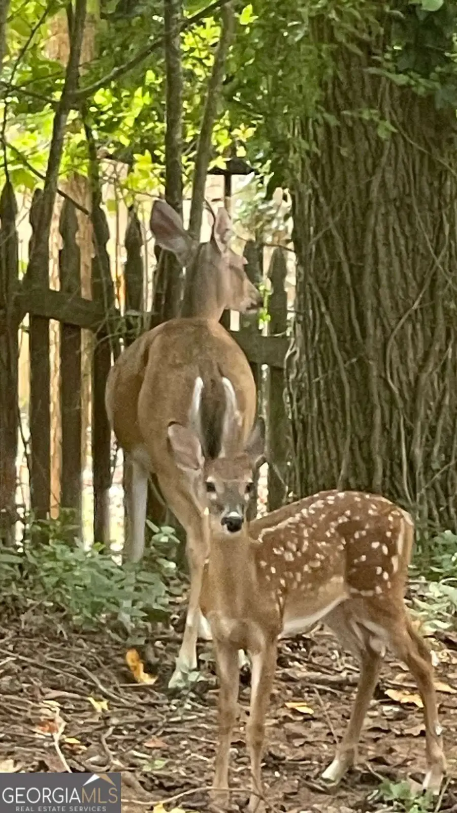 4075 Dream Catcher Drive, Woodstock, GA 30189 - Image #3