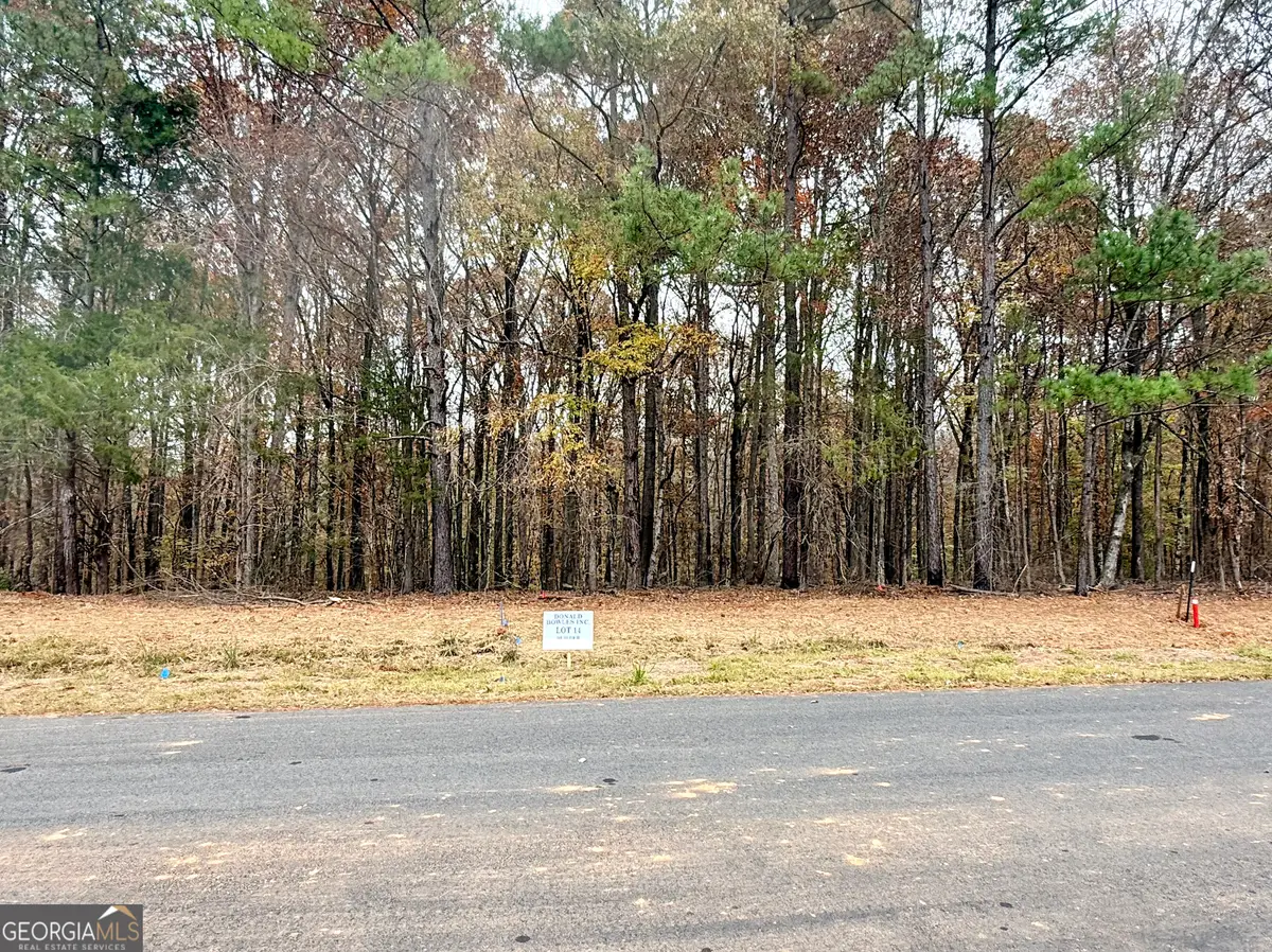 LOT 14 Rolling Meadows Way, Waverly Hall, GA 31831 - #1