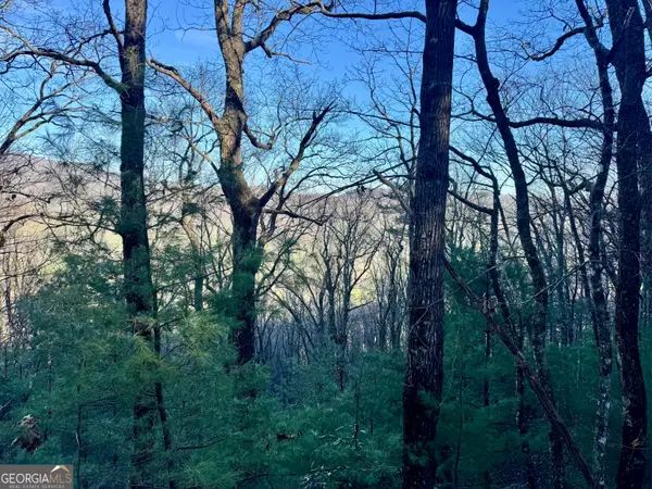 0 Mule Branch Road, Helen, GA 30545