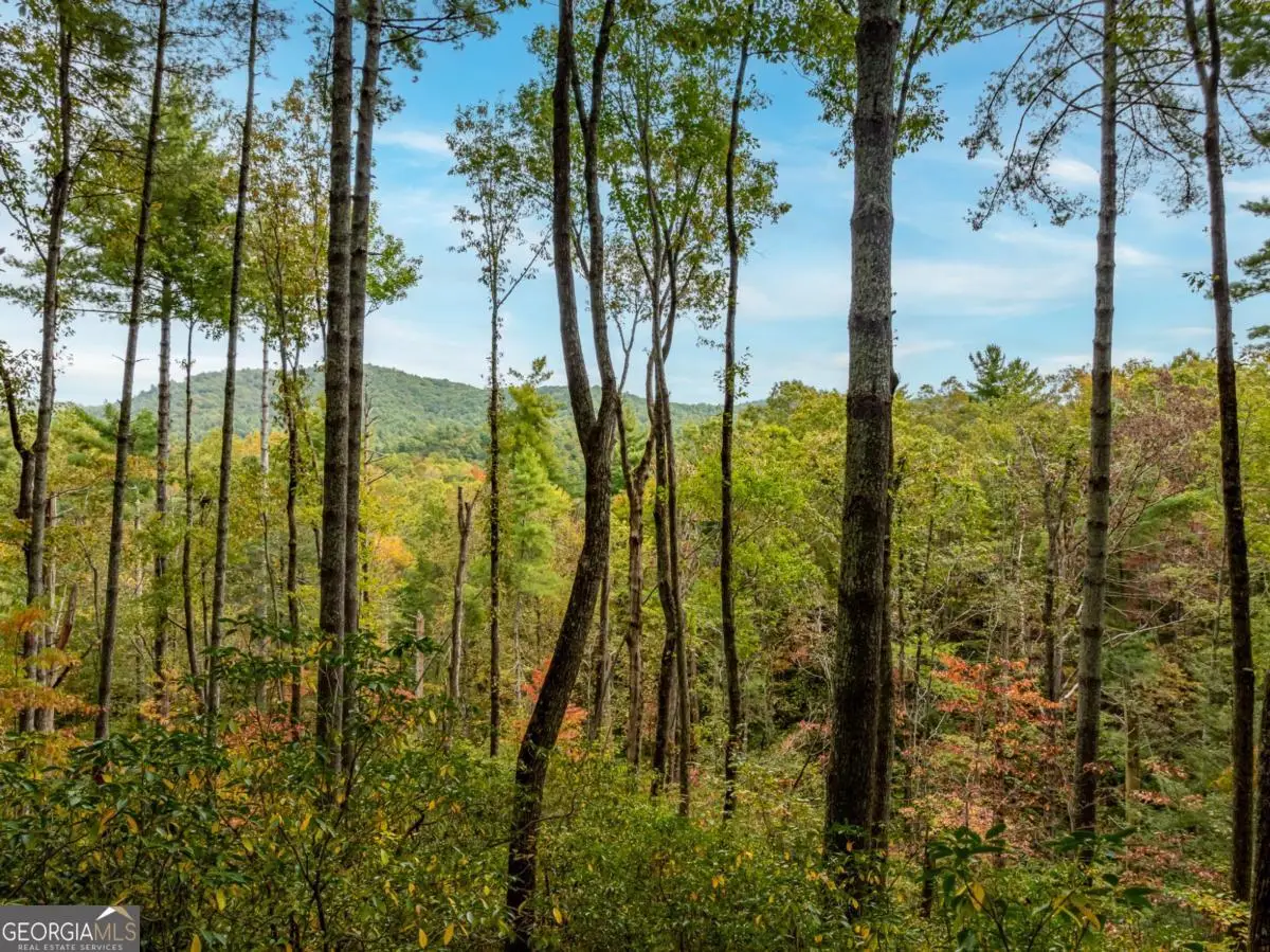 LOT 1 Chief Whitetails Road, Ellijay, GA 30540 - Image #1