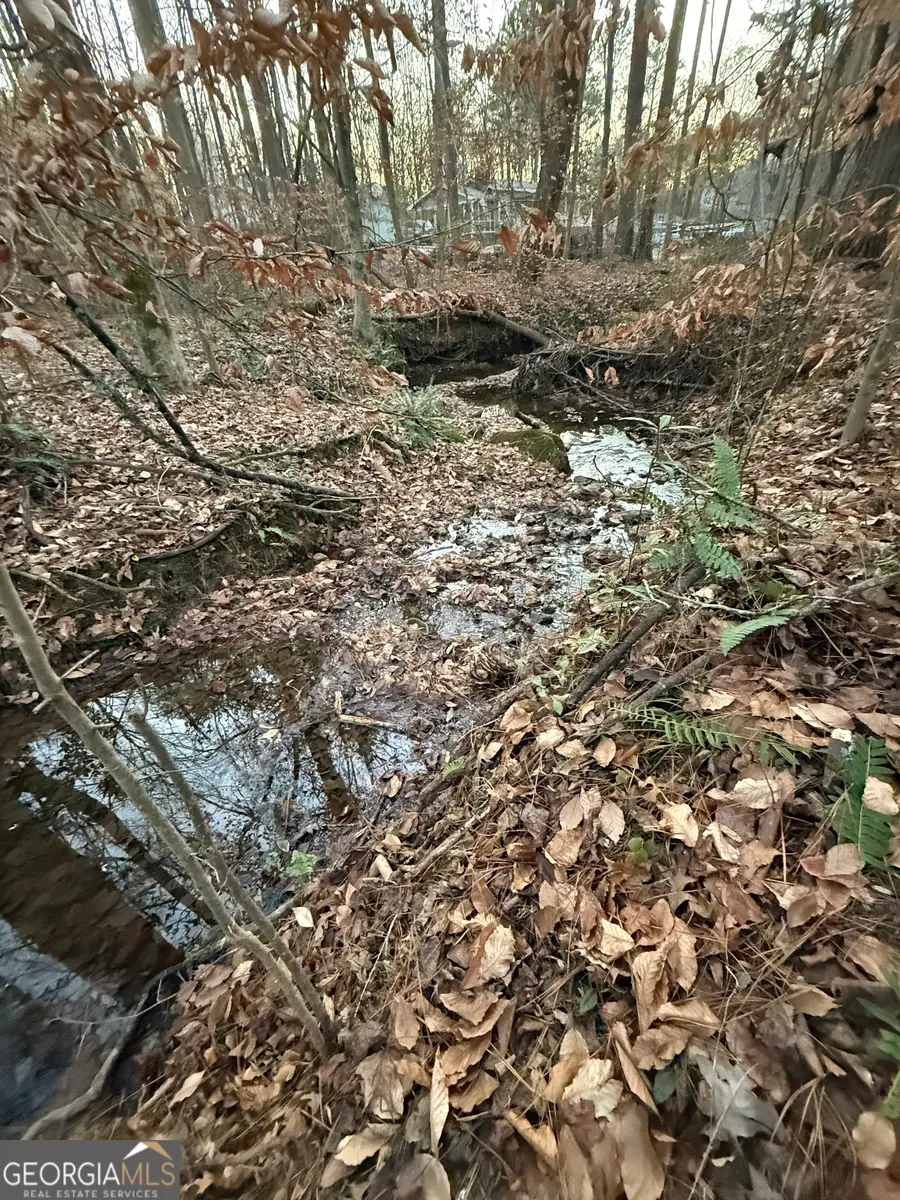 0 Marty Lane, Dallas, GA 30157 - Image #3