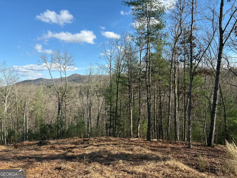 LOT 86 Lookout Ridge, Mineral Bluff, GA 30559 - Image #3