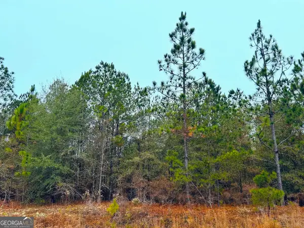 0 Jw Miller Road, Reynolds, GA 31076