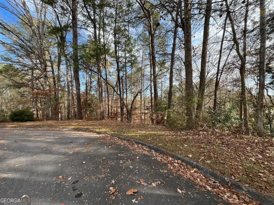 1120 Carlo Court, South Fulton, GA 30331 - #3