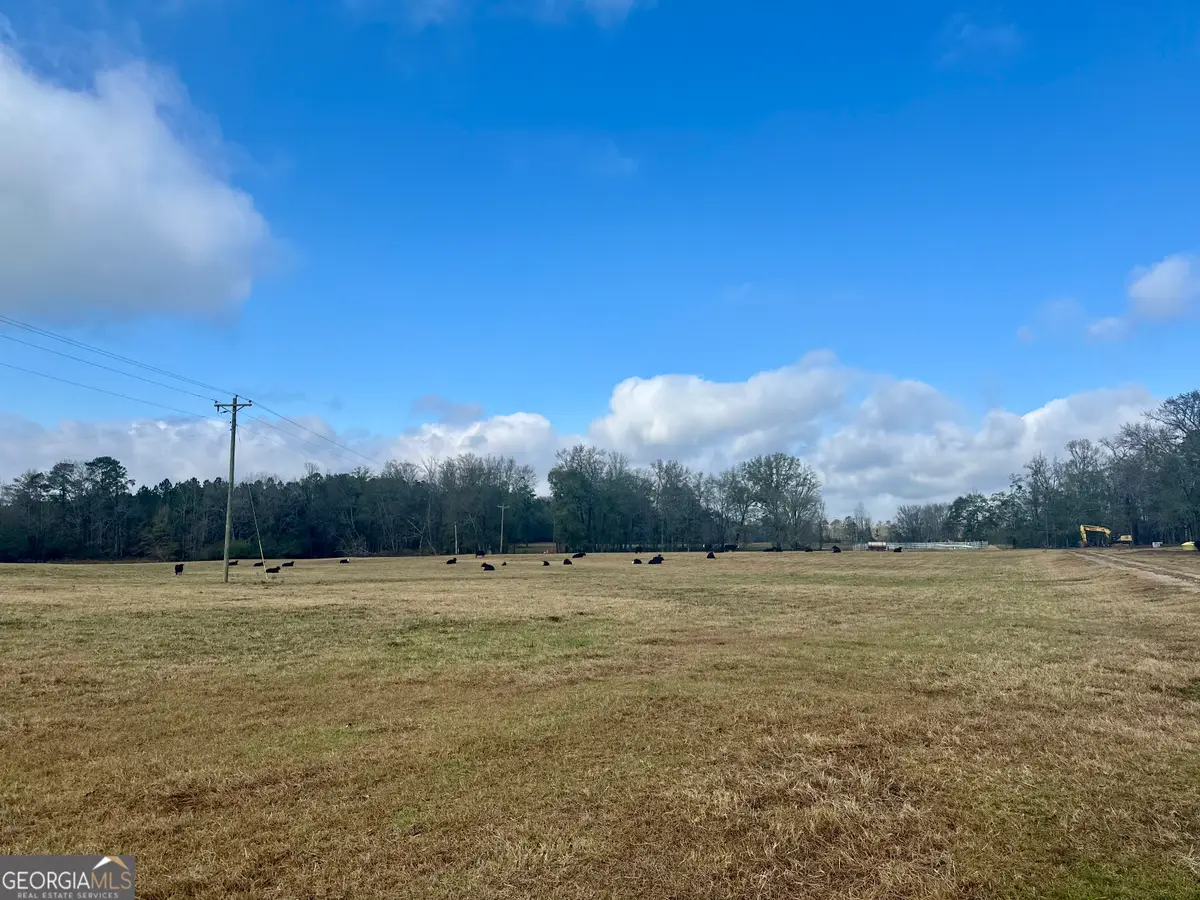 1111 Billy Merritt Road, Greensboro, GA 30642 - #1