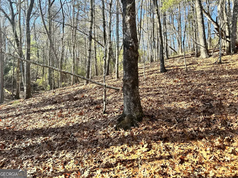 0 Bahn Innsbruck, Helen, GA 30545 - Image #3