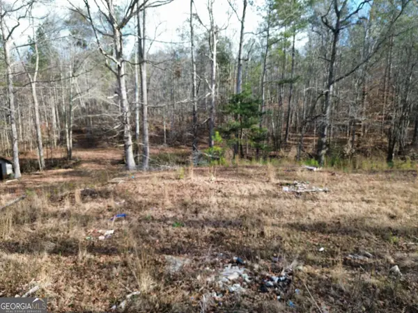 881 S Little New York Trail, Whitesburg, GA 30185