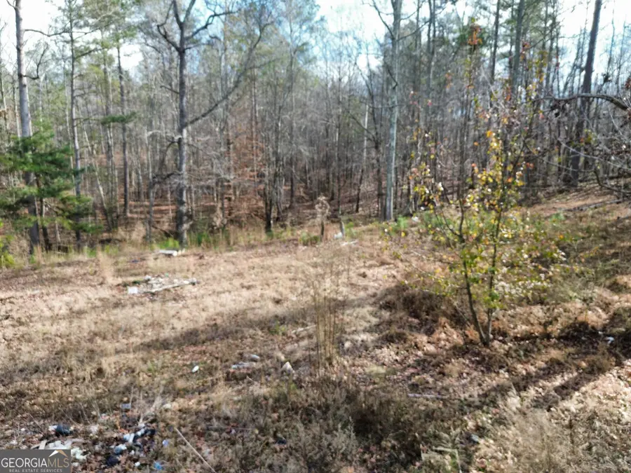 881 S Little New York Trail, Whitesburg, GA 30185 - Image #2