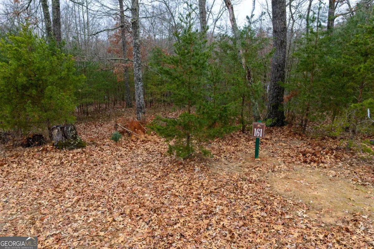 161 Headwaters Court #LOT 161, Cleveland, GA 30528 - Image #1