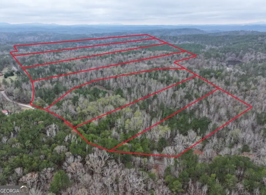 0 Hopeful Road #LOT 3, Munford, AL 36268 - #3